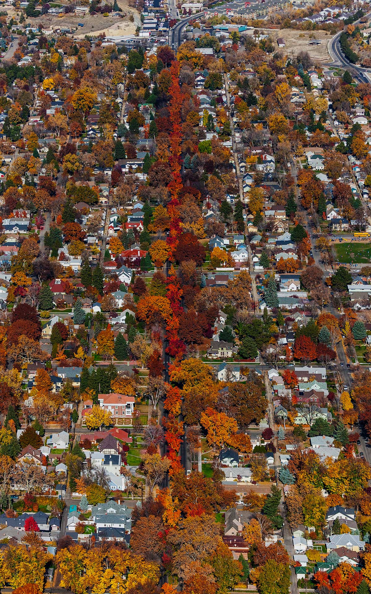Aerial Photography-Harrison Blvd. Boise, Idaho in Fall Colors.