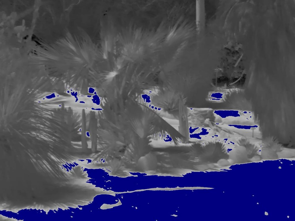 The Same Thermogram with False Color (Dark Blue) Indicating Features with Apparent Temperatures of 160°F or Higher.
